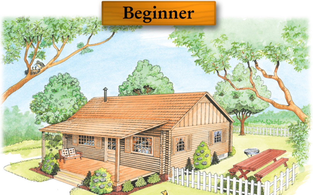 Beginner