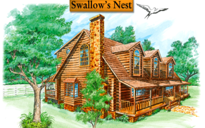 Swallow’s Nest